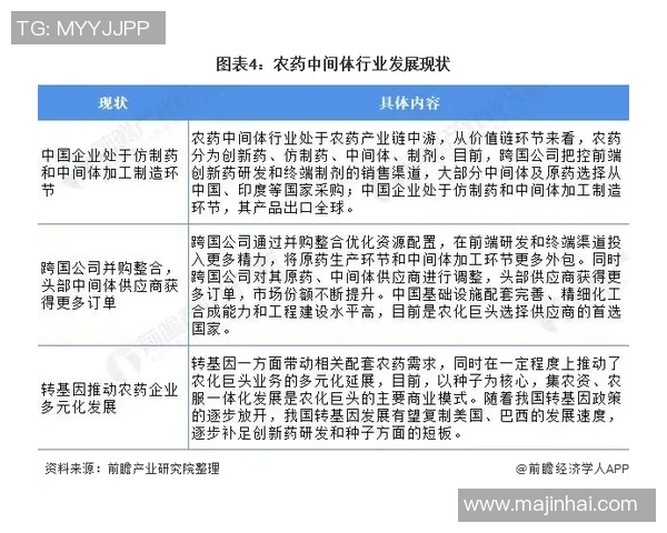 武汉网球队运营模式分析与发展前景探讨